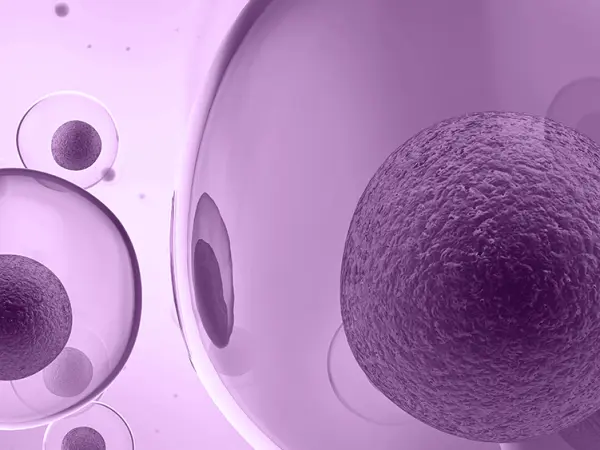 Immune modulators