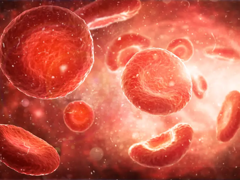 Targeted sequencing of seven genes may improve classification of MDS