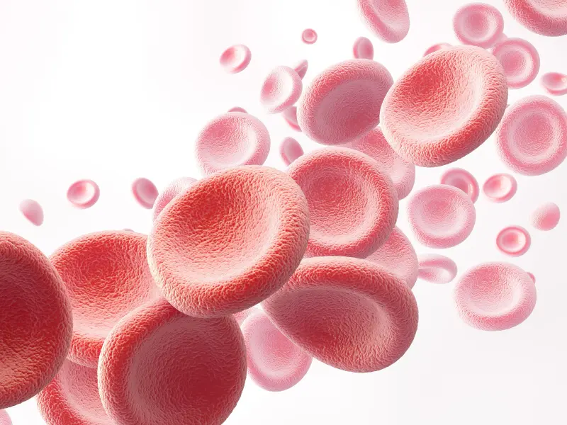Impact of medium-to-high glucocorticoid dose on the risk of bloodstream infections in patients with SLE