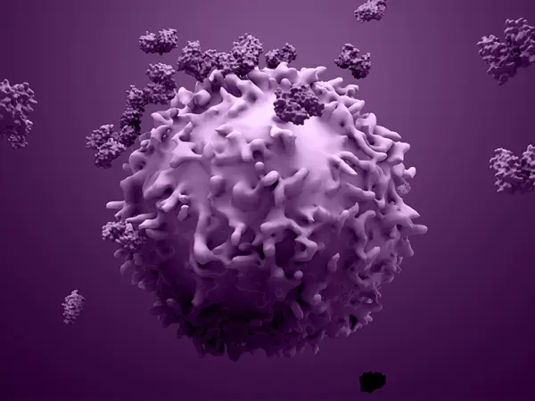 Antibody therapy