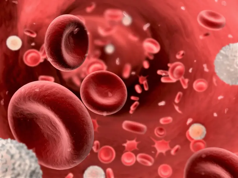 Azacitidine maintenance after HSCT for AML/MDS provides no improvement in relapse-free survival in phase III study