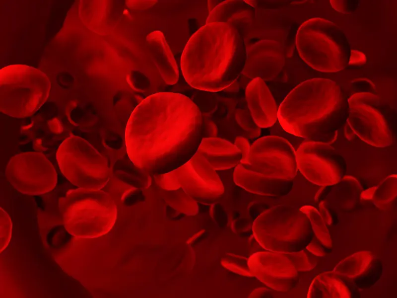 Anemia treatment with luspatercept in patients with lower-risk MDS: results from the PACE-MDS study