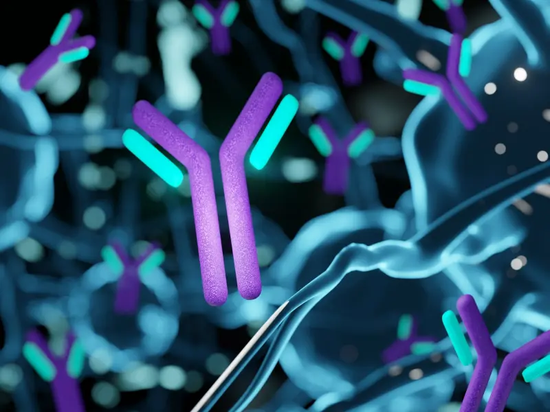 Immunomodulatory mechanisms of anifrolumab: A transcriptomic and proteomic analysis of phase III trials